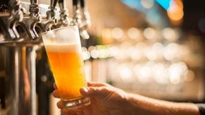 Altro che la solita bionda: tutta la biodiversità che si nasconde in un bicchiere di birra