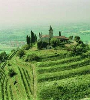 Alleanza Franciacorta-Brunello per aumentare le esportazioni