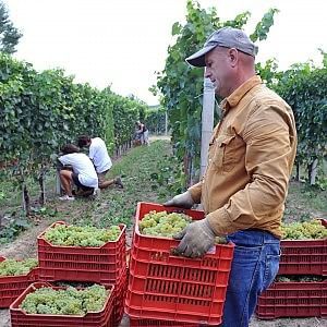 Lavoro, crolla l'occupazione al Sud. Crescono gli over 55