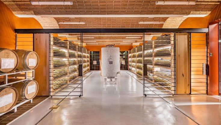 Cantina Valle Isarco, fatturato in crescita costante e un nuovo vino in arrivo