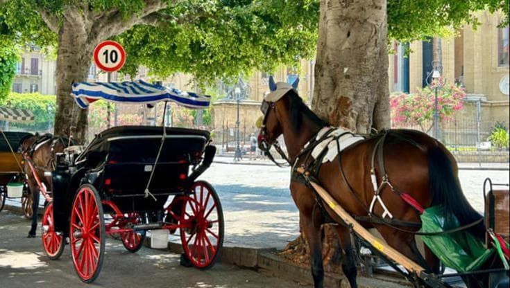 Benessere animale, il centrodestra si spacca. Salta lo stop alle carrozze degli “gnuri”
