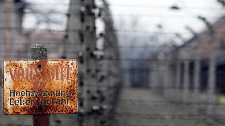Shoah, il ricordo in consiglio comunale. Libri, incontri e mostre fino al 27 gennaio