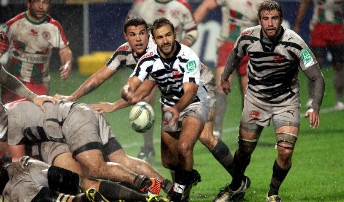 Rugby, torna la Celtic League: Zebre e Treviso ci provano