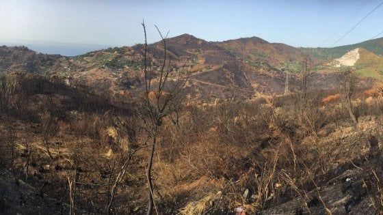 Regionali Sicilia: appello degli scout ai candidati, salviamo l'Isola dagli incendi