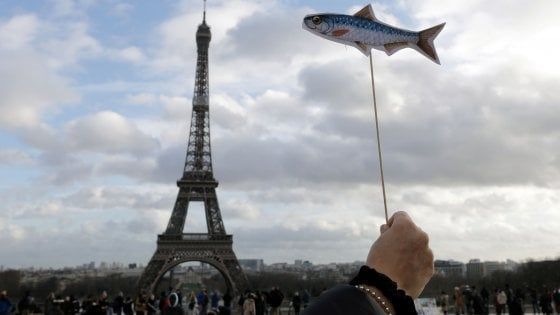Sardine pronte per il mare aperto. Manifestazioni compatte in 25 città: in piazza da Berlino a New York