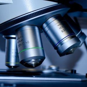 Sclerosi tuberosa, la giornata mondiale per conoscere questa malattia rara