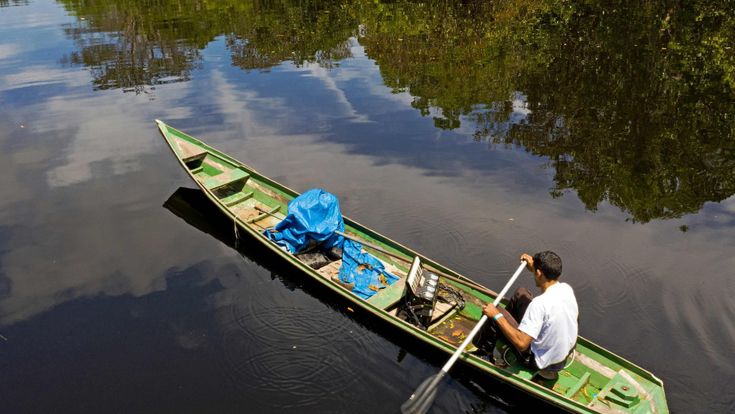 Pochi fondi e guardiani in quarantena, così i distruttori dell'Amazzonia hanno campo libero