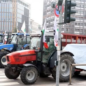 Quote latte, la Ue chiede nuove sanzioni per l'Italia