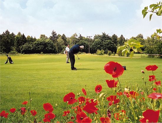 Il golf in Germania
