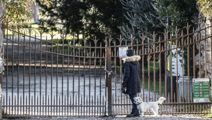  Da Ostia antica al centro: il lungo volo del virus. L'"aviaria laziale" fa paura: a rischio gli animali di Villa Pamphilj