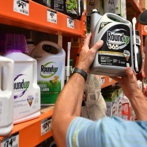 Bayer sconfitta negli Usa: il diserbante provoca il cancro. Titolo a picco