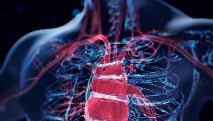 Cardiomiopatia ipertrofica ostruttiva, in arrivo nuove soluzioni terapeutiche