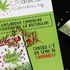 I Radicali rilanciano la battaglia antiproibizionista: 