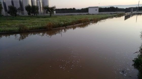Migliaia di litri di mosto in strada: nel Foggiano sabotati i silos di due cantine sociali