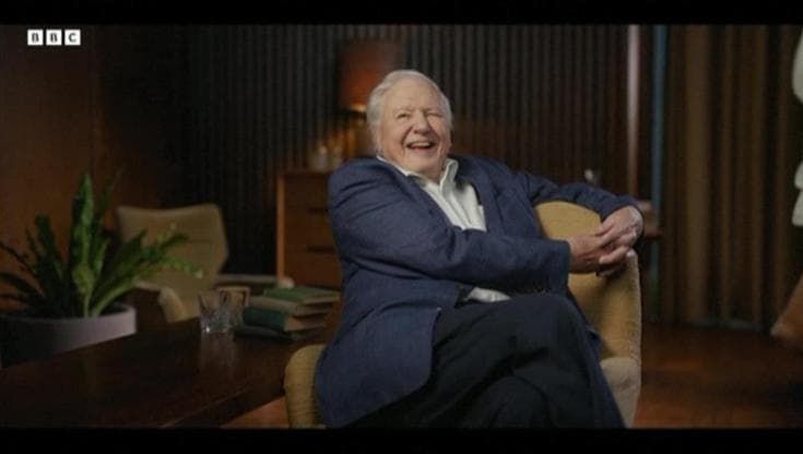 I cento anni di sir Attenborough nella Natura: "Sopraffatto dagli auguri"