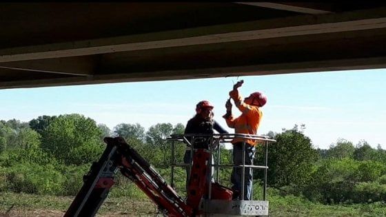 Ponti, il report della Provincia: oltre 850 sono malati
