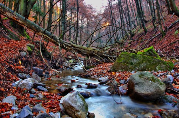 L'ambiente incontra l'uomo: i finalisti del concorso fotografico
