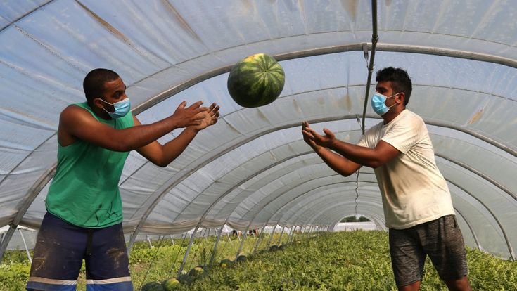 La sanatoria migranti accelera. Ora le domande sono trentamila