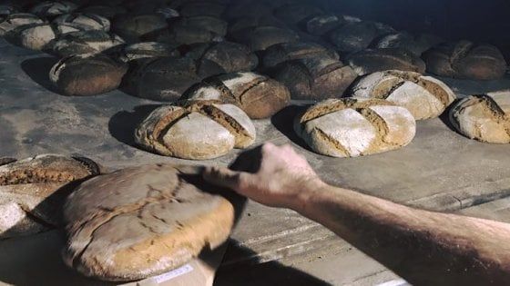 Il mulino, antico e moderno al tempo stesso, nato in Calabria grazie a Facebook