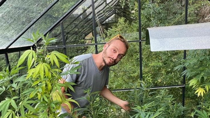 La cannabis light vista dal contadino: “La vietano soltanto perché adesso si vota”