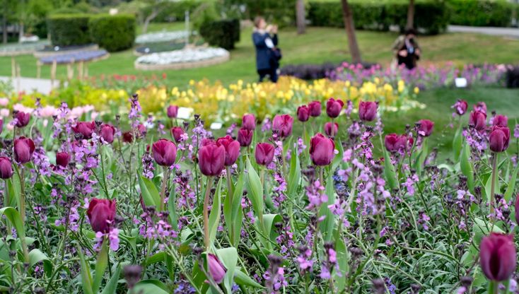 Genova, le prime foto di Euroflora pronta per l'inaugurazione 