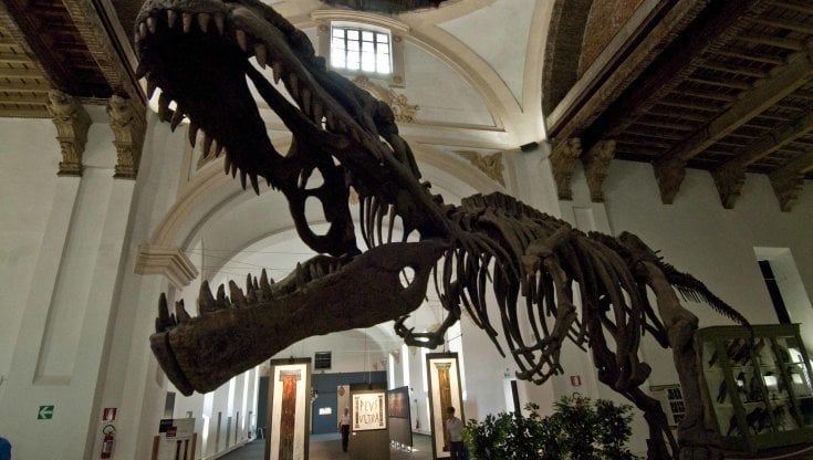 Cirio sblocca il Museo di Scienze naturali; “Riapriamo a Natale”