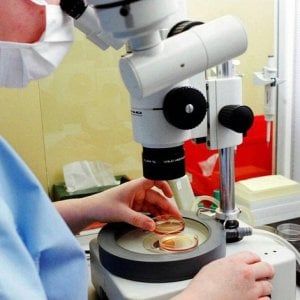  L’ultimo censimento della vivisezione in Italia: diminuisce l'uso delle cavie da laboratorio, ma aumentano i cani 