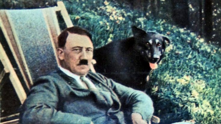 La vera storia del rapporto tra i nazisti e gli animali
