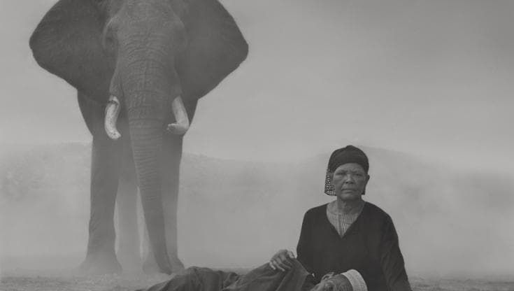 Noi e la natura, un destino nero e intrecciato