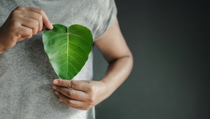 Transizione ecologica, per 8 imprese su 10 è utile per superare la crisi economica