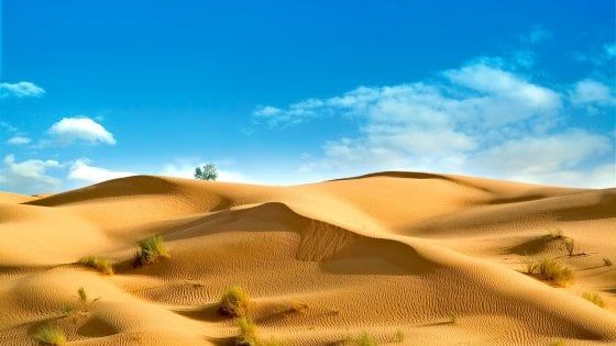 Un viaggio in Tunisia: questa è la stagione giusta