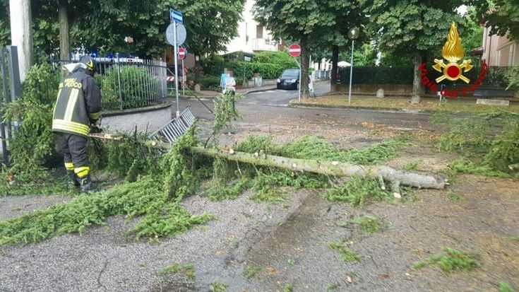 Alberi caduti e allagamenti per il maltempo nel Bolognese