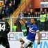 Sampdoria-Sassuolo 0-0, i neroverdi resistono in dieci per oltre un'ora
