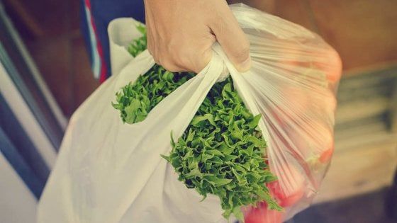 Ischia, in giro per due ore con le stesse buste della spesa: denunciato