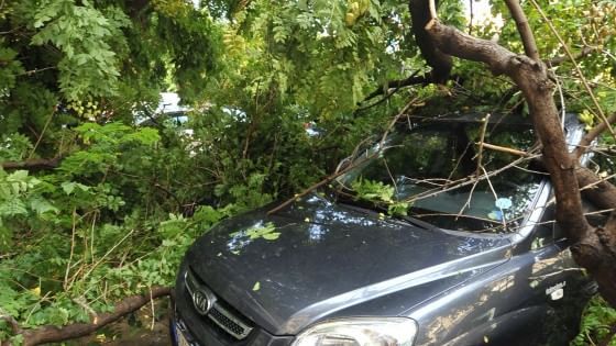 Maltempo, allerta temporali si sposta a Sud-est. Trombe d'aria, allagamenti e alberi abbattuti