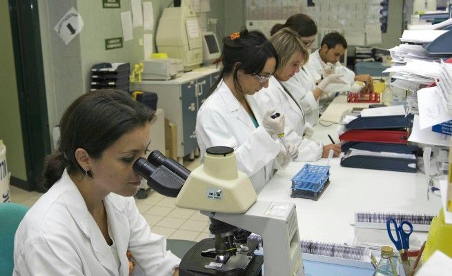 Rizzoli, arrivano 1,2 milioni di euro:<br />salvi i 64 ricercatori dell'Istituto