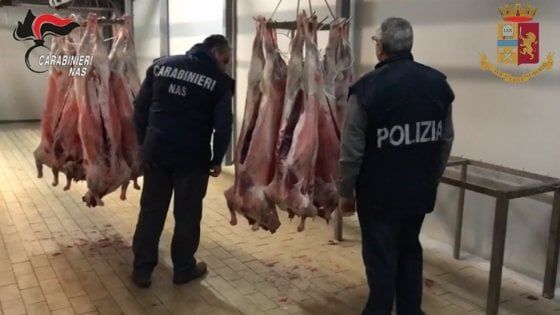 Catania, sequestrato mattatoio clandestino: denunciato il titolare