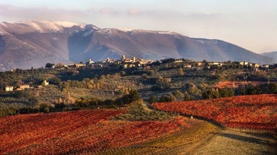 Spighe Verdi, la Bandiere Blu dell’agricoltura: ecco i 27 comuni premiati