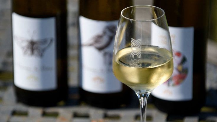 Mancano le bottiglie e i trasporti vanno a singhiozzo: vini e liquori rischiano il tilt in vista delle vacanze di Natale