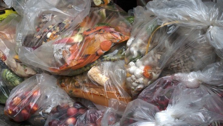 Ridurre gli sprechi alimentari: presentato il vademecum "L'altra metà del cibo"