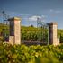 Il vino secondo la Rossa: nasce la Michelin dei vini