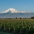 In Armenia, alla ricerca delle radici del vino fra le anfore della cantina più antica del mondo