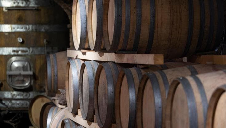 L’azienda vitivinicola Torrevento riacquista da Prosit Group il 51% di Cantine Torrevento
