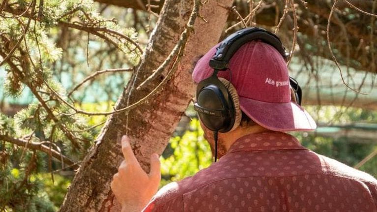 Botanical Soundscape, il “suono” delle piante diventa musica
