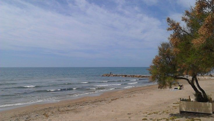 Lido di Latina, dopo il fegato ritrovato un rene