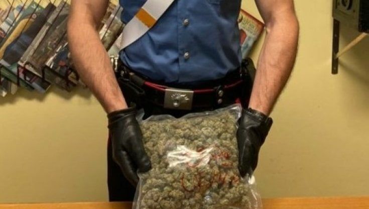 Odore di marijuana dal veicolo durante un controllo: automobilista trovato con 250 grammi di droga