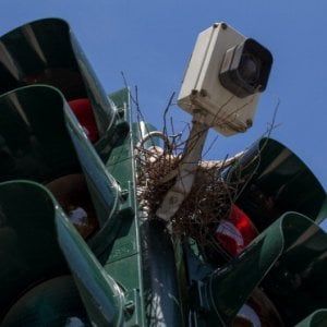 Roma, l'appalto truffa per Atac: "Semafori, lavori mai fatti"