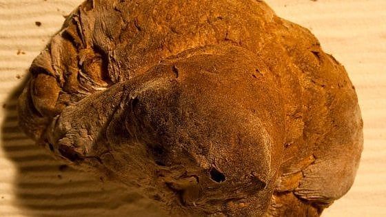 C'è pane e pane: benvenuti ad Altamura
