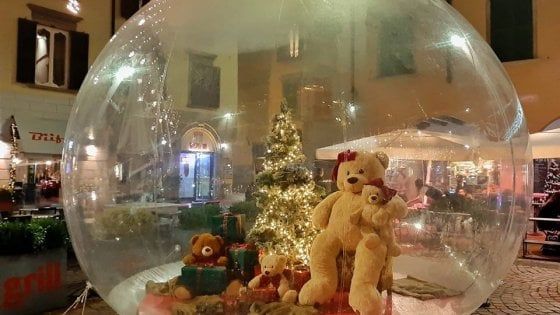 Bergamo, rubato l'orsacchiotto per i bimbi di pediatria. L'appello dei negozianti: "Restituitelo"