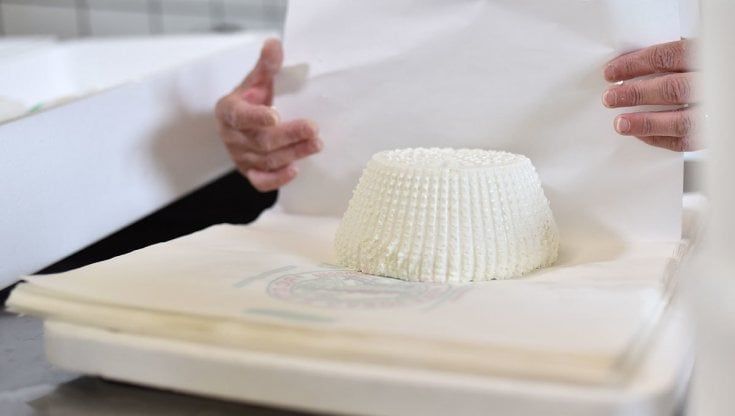 Consorzio Ricotta di bufala campana Dop: Benito La Vecchia confermato presidente